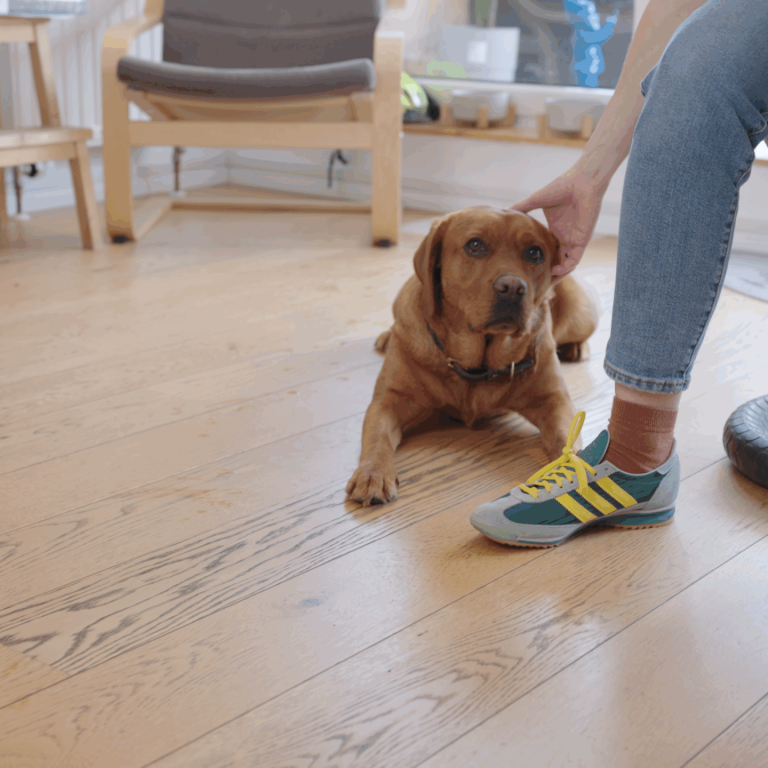 Intro.00_04_40_14.Standbild035